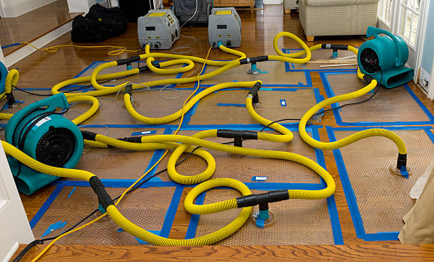 Professional Crawl Space Water Removal technician working in Deming, NM